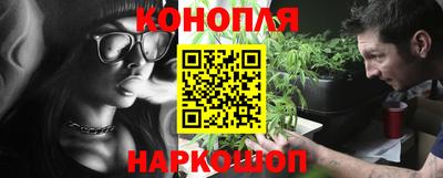 гидропоника Бийск
