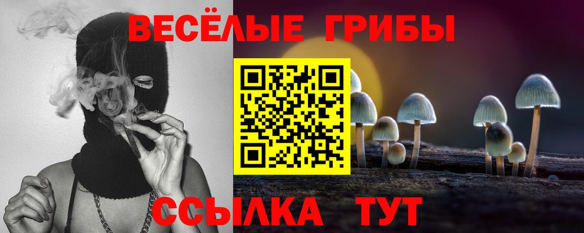 закладка  Псилоцибиновые грибы прущие грибы  Вход с VPN  Жигулёвск  Галлюциногенные грибы ЛСД 